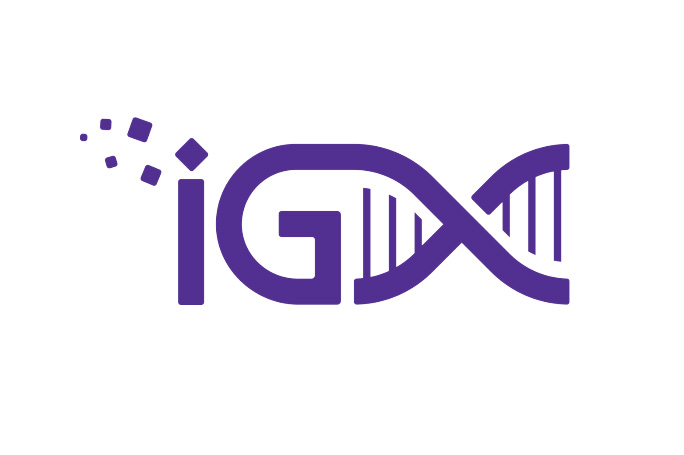 Imagenomix Logo
